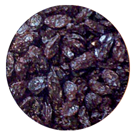 thomson 2 Thompson Raisins